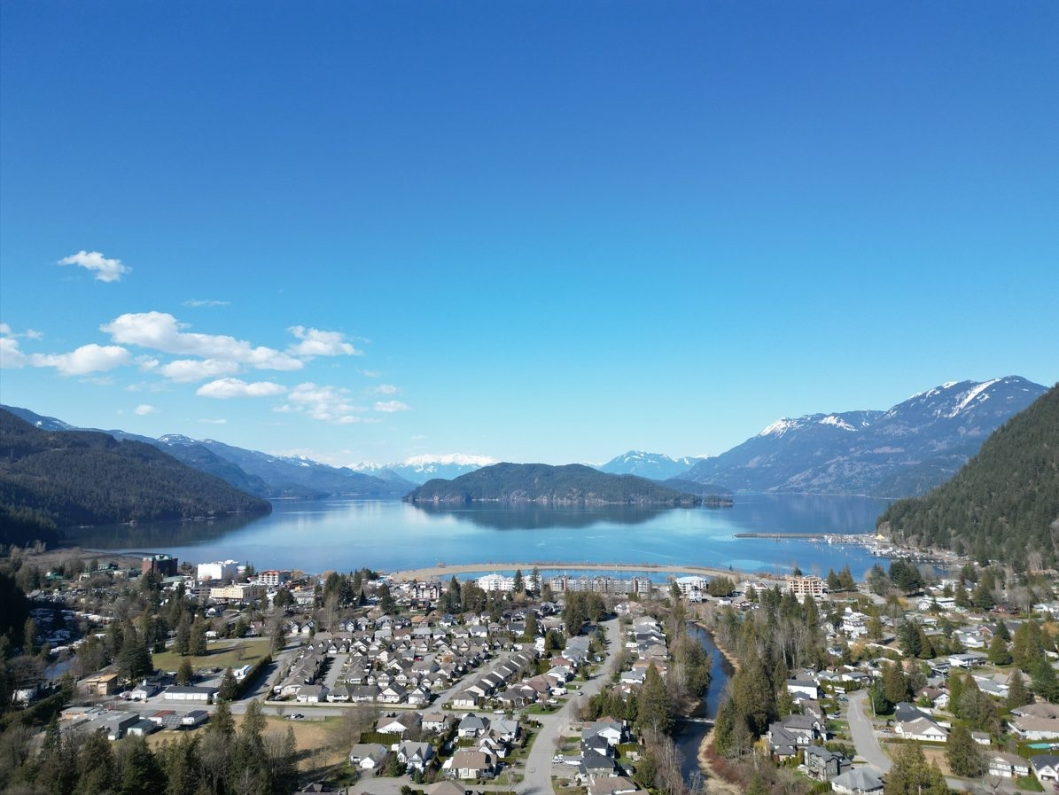 Diane Jacobi Banner Photo