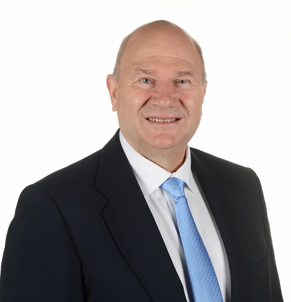 Real Estate Agent