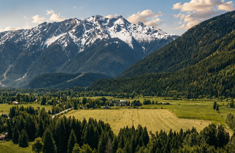 Pemberton Real Estate
