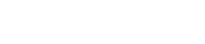 Leo Wilk logo