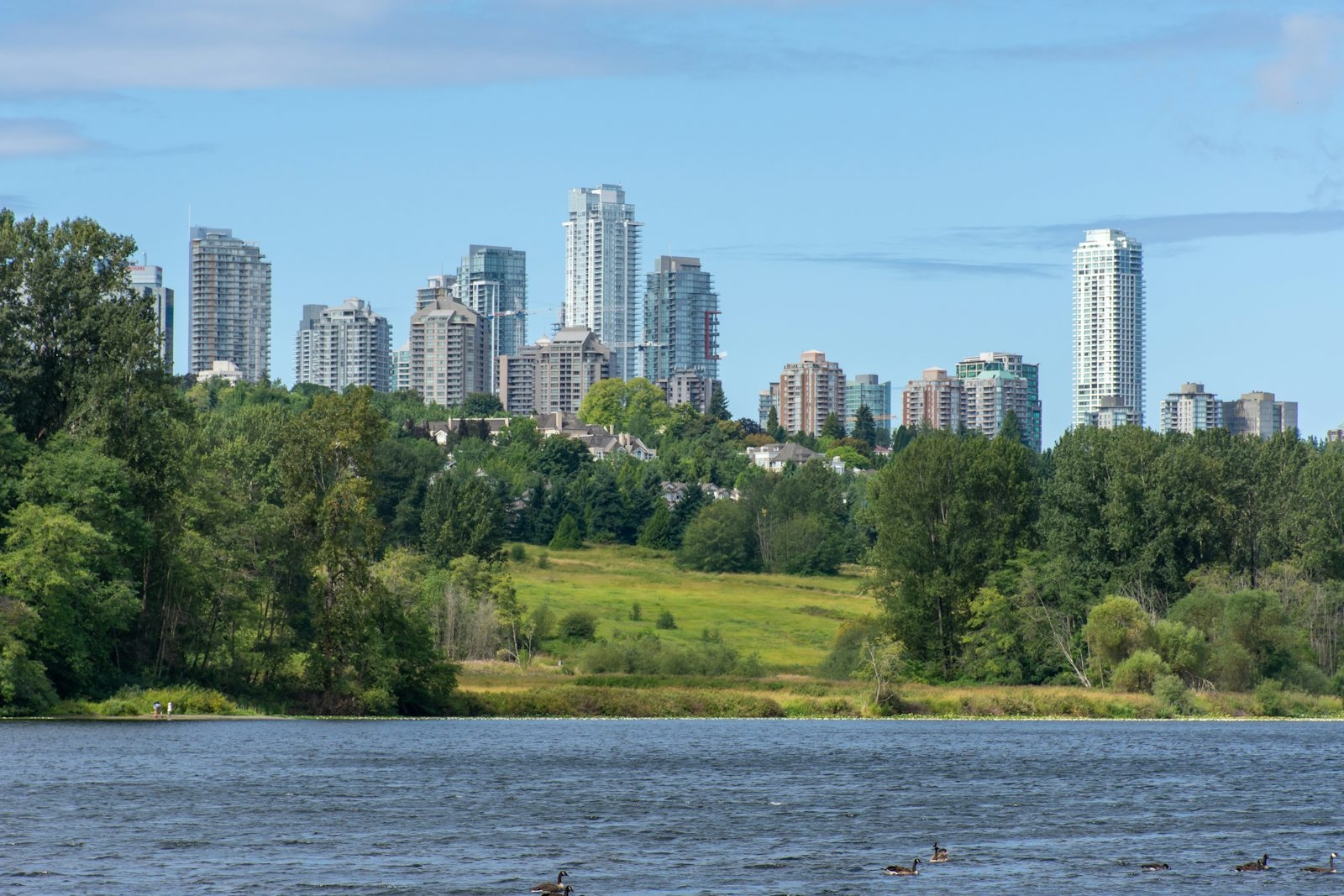 Burnaby&rsquo;s Metrotown skyline above trees across Deer Lake
