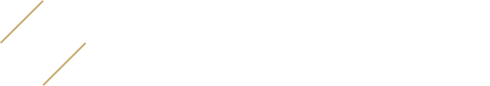 Lapp Real Estate Group logo